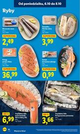 Lidl gazetka Strona 42
