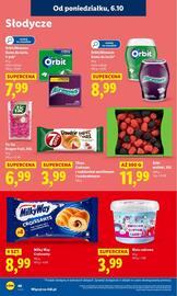 Lidl gazetka Strona 46