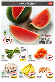 IGA catalogue week 41 Page 6