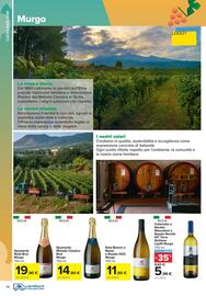 Volantino Carrefour Iper Pagina 28