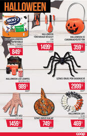 Coop akciós újság hét 41 Oldal 13