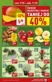 ALDI gazetka tydzień 41 Strona 7