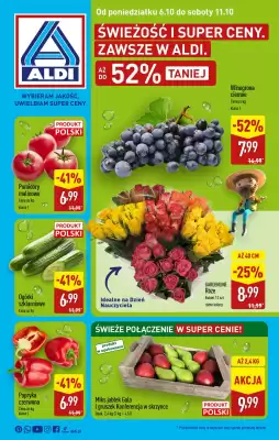 ALDI gazetka (ważność do 11-10)