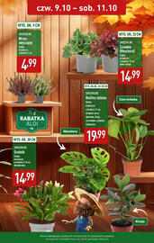 ALDI gazetka Strona 2