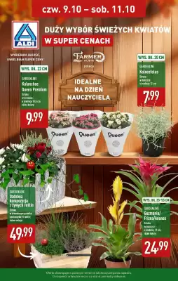 ALDI gazetka (ważność do 11-10)