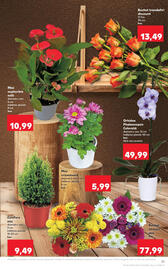 Catalog Kaufland săptămâna 41 Pagină 21