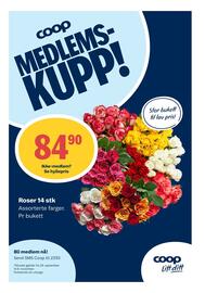 Matkroken kundeavis uke 41 Side 6