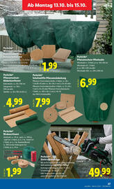 Lidl Flugblatt woche 41 Seite 33