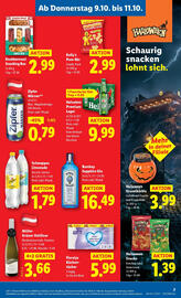 Lidl Flugblatt woche 41 Seite 11