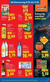 Lidl Flugblatt woche 41 Seite 11