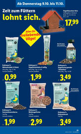 Lidl Flugblatt woche 41 Seite 27
