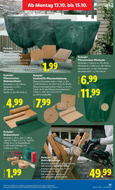 Lidl Flugblatt woche 41 Seite 33