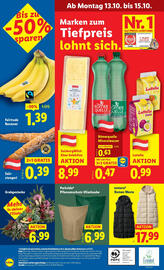 Lidl Flugblatt woche 41 Seite 46