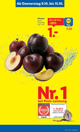 Lidl Flugblatt woche 41 Seite 5