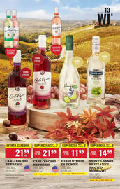 Biedronka gazetka | Alkohole Strona 13