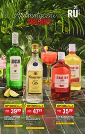 Biedronka gazetka | Alkohole Strona 31