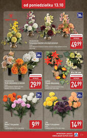ALDI gazetka Strona 5