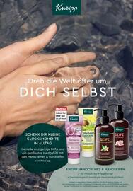 Rossmann DE folder Pagina 40