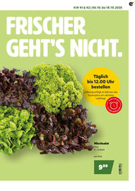 Eurogast Grissemann Flugblatt Seite 5