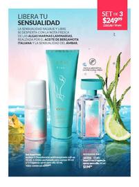 Catálogo Avon Página 105