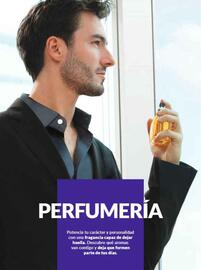 Catálogo Avon Página 66