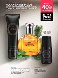Catálogo Avon Página 67