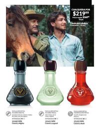 Catálogo Avon Página 85