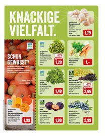 Feneberg Prospekt Seite 5