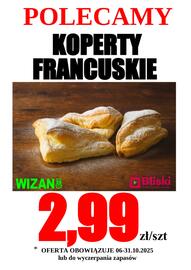 Wizan gazetka Strona 1