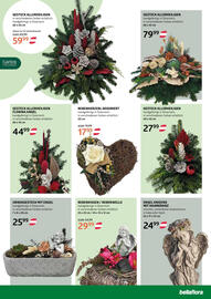 Bellaflora Flugblatt woche 41 Seite 3