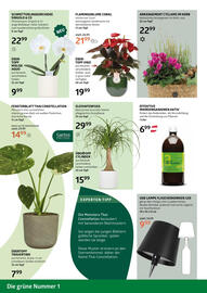 Bellaflora Flugblatt woche 41 Seite 6