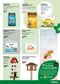 Bellaflora Flugblatt woche 41 Seite 7
