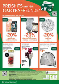 Bellaflora Flugblatt woche 41 Seite 8