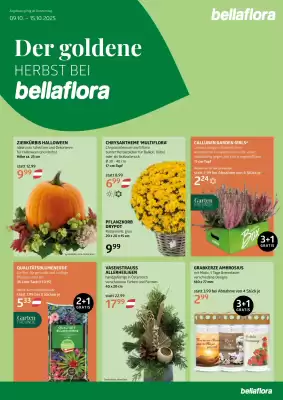 Bellaflora Flugblatt (gültig bis 15-10)