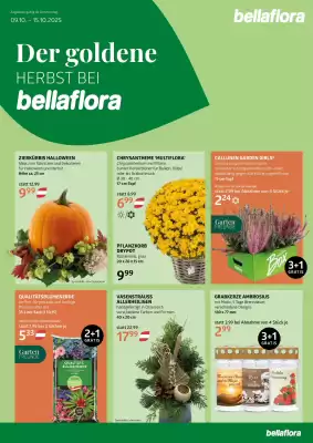 Bellaflora Flugblatt (gültig bis 15-10)