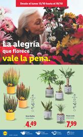 Catálogo Lidl semana 42 Página 46