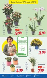 Catálogo Lidl semana 42 Página 47