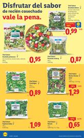 Catálogo Lidl semana 42 Página 8