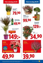Lidl reklamblad vecka 42 Sida 19