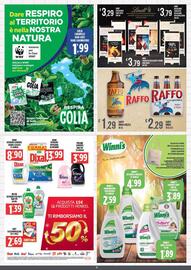 Volantino Supermercato Pollio Pagina 13