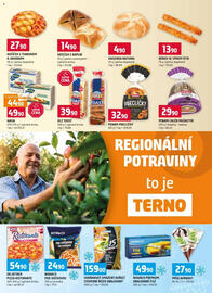 Terno leták týden 41 Strana 6