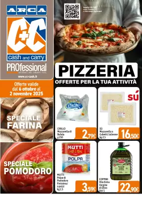 Volantino ARCA C+C cash and carry (valido fino al 2-11)