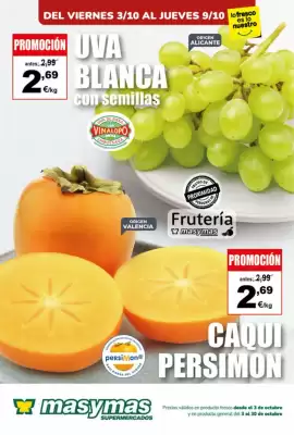 Folleto Masymas