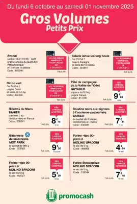 Catalogue Promocash (valable jusqu'au 1-11)