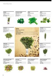 Catálogo TransGourmet Página 14