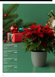 Catálogo TransGourmet Página 30