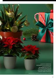 Catálogo TransGourmet Página 31