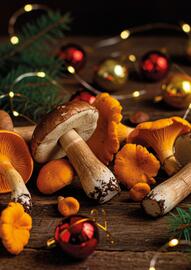 Catálogo TransGourmet Página 5