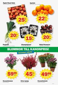 Pekås reklamblad vecka 41 Sida 7