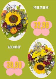 Blumen Risse Prospekt Seite 2